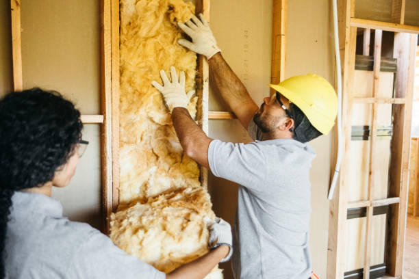 Best Energy-efficient Insulation  in Fraser, MI